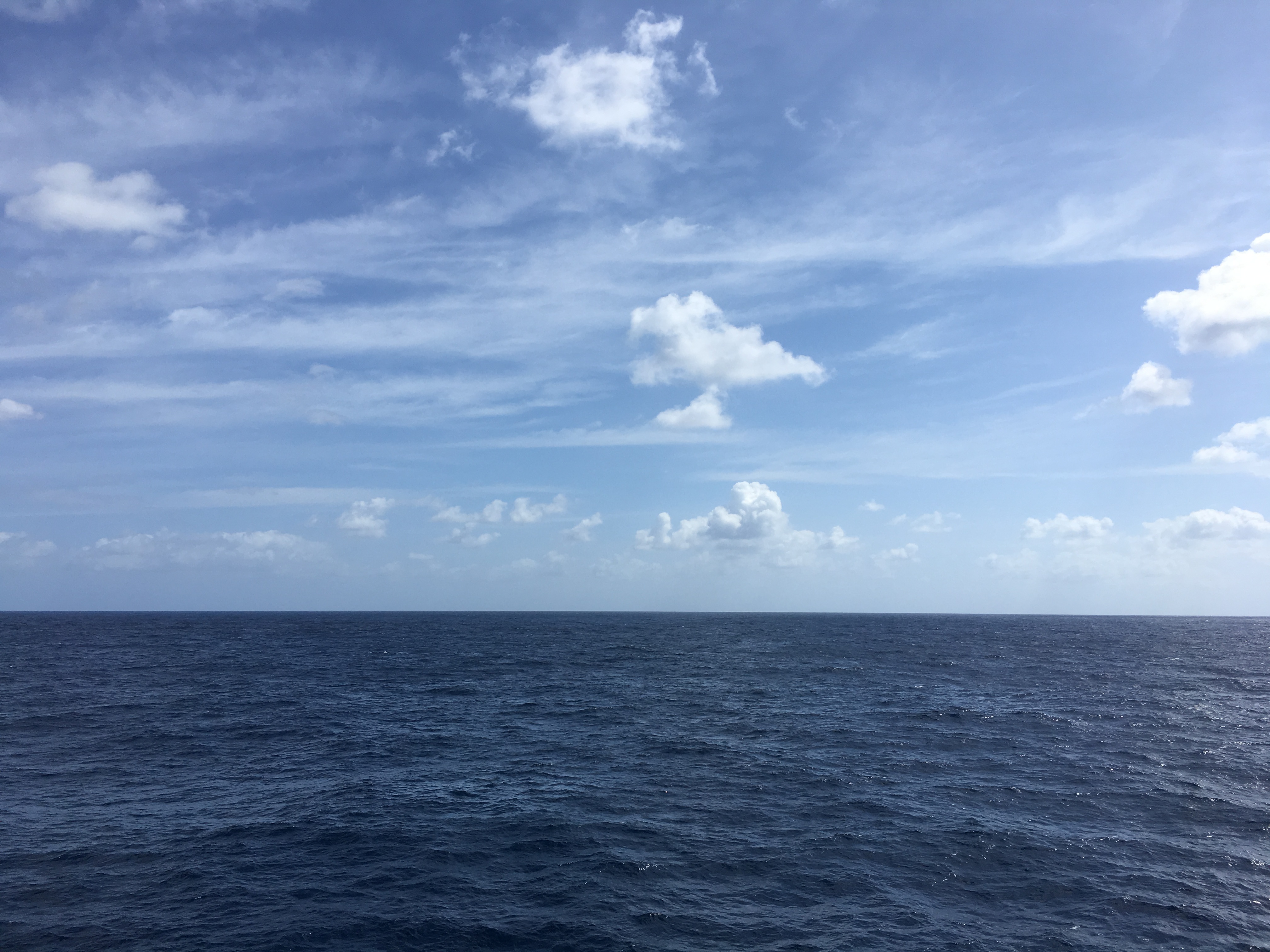 太平洋の水平線